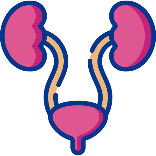 Urology icon